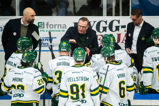 Björklövens huvudtränare Magnus Bogren