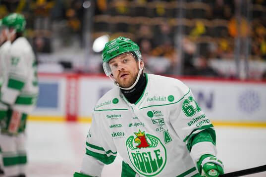 Rögles Leon Bristedt