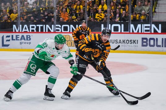 Rögles Lubos Horky och Skellefteås Pär Lindholm