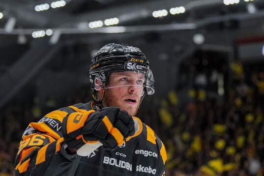 Skellefteås Rickard Hugg jublar