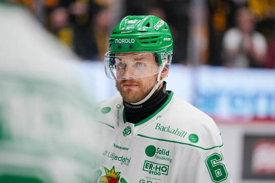 Rögles Leon Bristedt