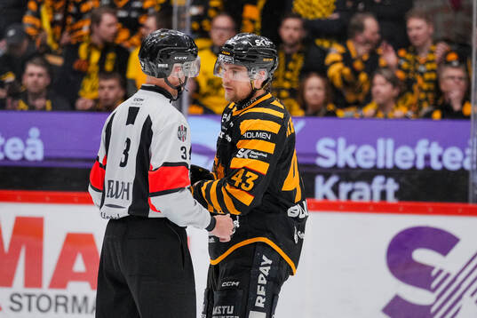 Domare Linus Öhlund  och Skellefteås Max Krogdahl