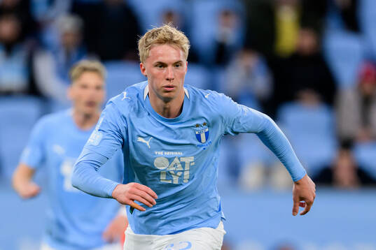 Malmö FFs Daniel Gudjohnsen