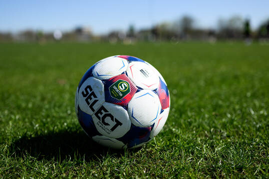 En fotboll på gräsmattan