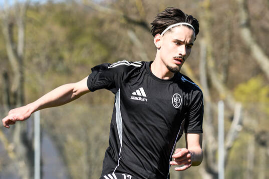 Enes Hebibovic