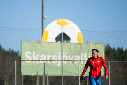 Helsingborgs Ervin Gigovic