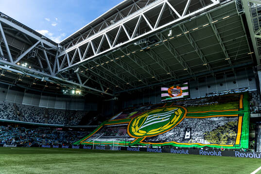 of Hammarbys supporters