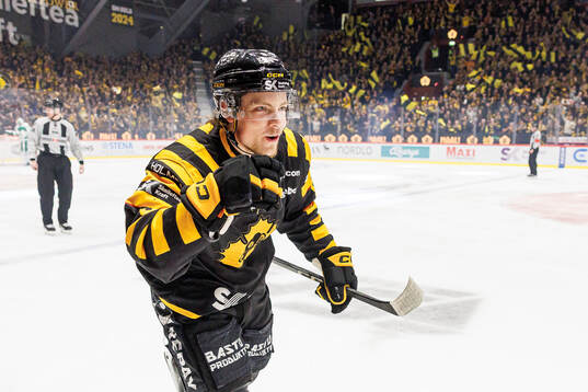 Skellefteås Victor Stjernborg jublar