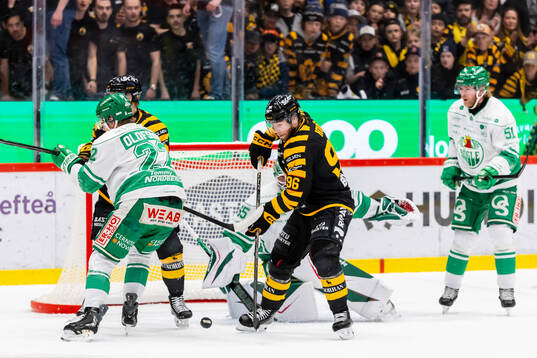 Skellefteås Rickard Hugg