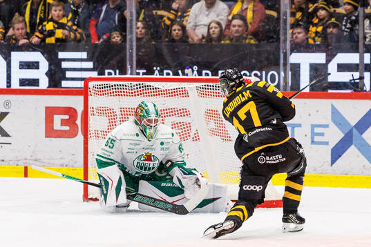 Rögles målvakt Christoffer Rifalk och Skellefteås Pär