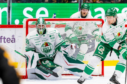 Rögles målvakt Christoffer Rifalk