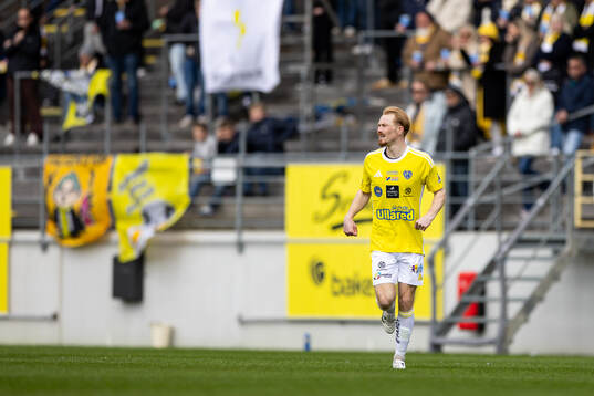Falkenbergs Linus Borgström
