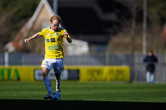 Falkenbergs Linus Borgström