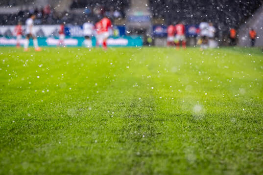 Quality of the grass at Lerkendal Stadion