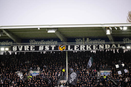 Spectators in the stands