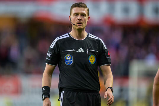 Domare Erik Mattsson