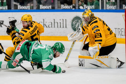 Rögles Josh Dickinson, Skellefteås Arvid Lundberg och