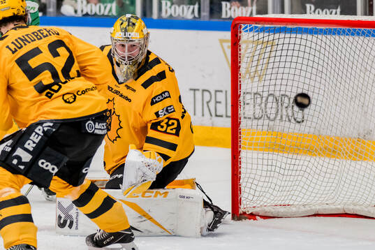 Skellefteås målvakt Linus Söderström