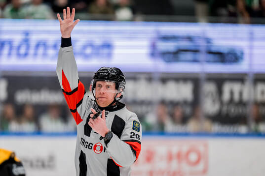 Domare Mikael Holm