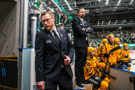 Skellefteås assisterande tränare Andreas Falk