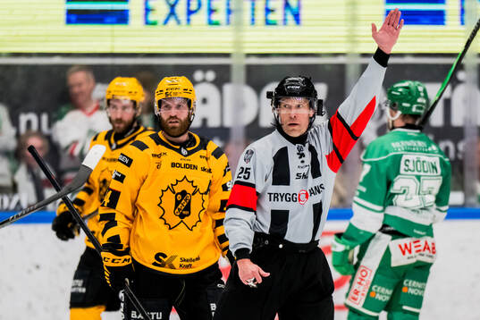 Domare Tobias Björk