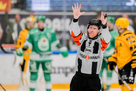 Domare Mikael Holm