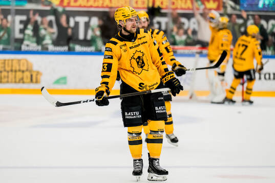 Skellefteås Max Krogdahl deppar