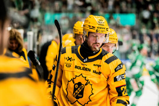 Skellefteås Martin Lundberg deppar