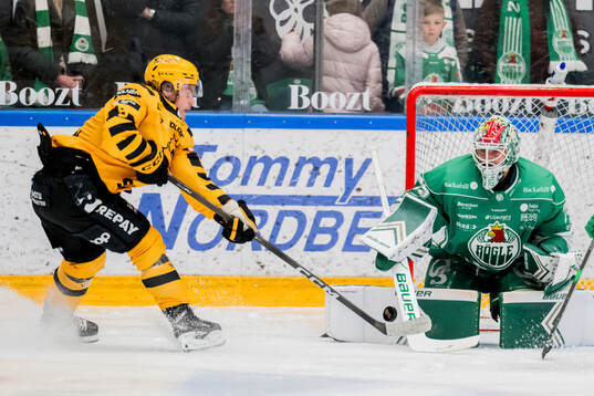 Skellefteås Victor Stjernborg och Rögles målvakt Arvid