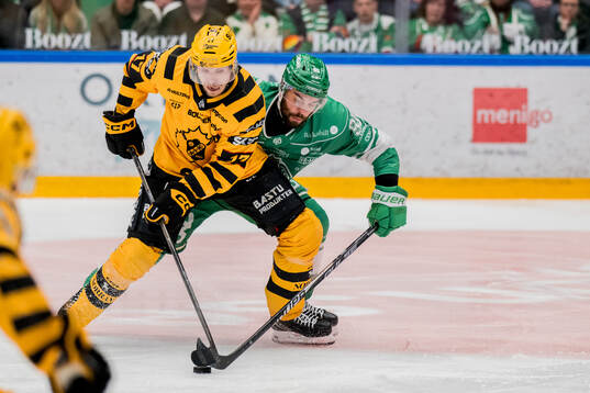 Skellefteås Pär Lindholm och Rögles Mark Friedman