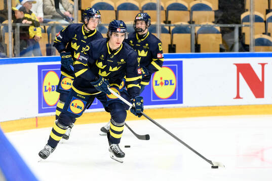 Liam Öhgren of Sweden ahead ofof the Fortuna Hockey Games