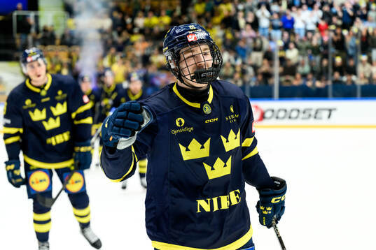 Viggo Björck of Sweden celebrates