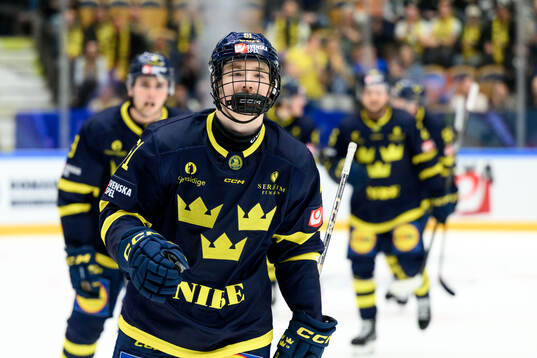 Viggo Björck of Sweden celebrates