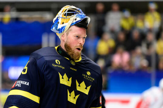 Goaltender Magnus Hellberg of Sweden