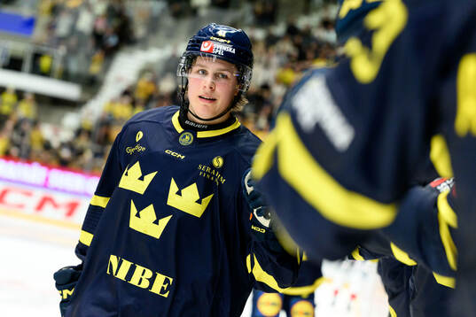 Ivar Stenberg of Sweden celebrates