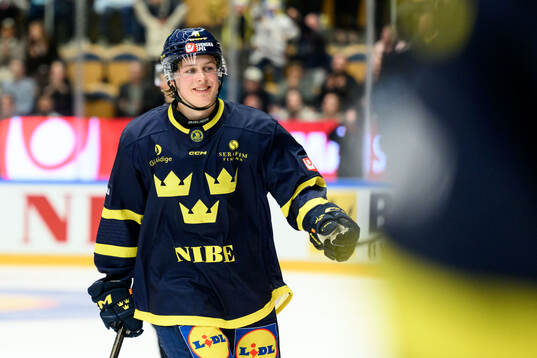 Ivar Stenberg of Sweden celebrates