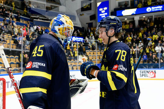 Goaltender Magnus Hellberg and Sascha Boumedienne of Sweden