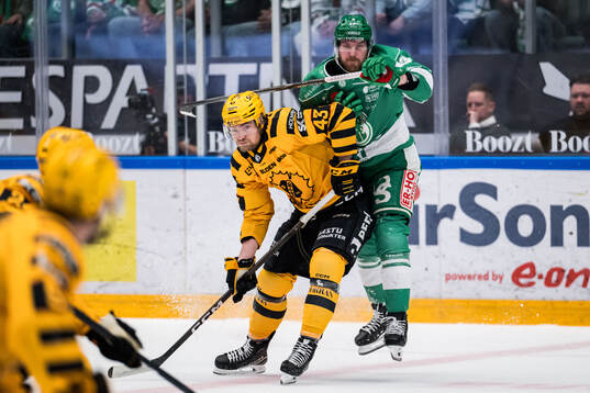 Skellefteås Max Krogdahl och Rögles Linus Sandin