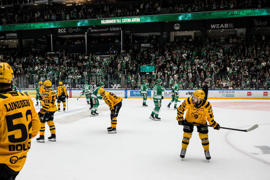 Skellefteås Rickard Hugg deppar
