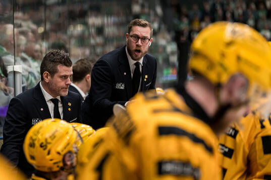 Skellefteås huvudtränare Daniel Hermansson och