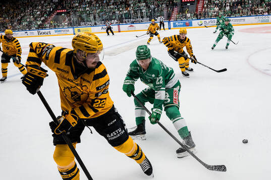 Skellefteås Jonathan Johnson och Rögles Fredrik Olofsson