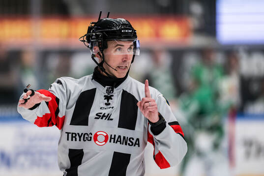 Domare Linus Öhlund