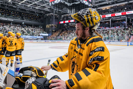 Skellefteås målvakt Strauss Mann