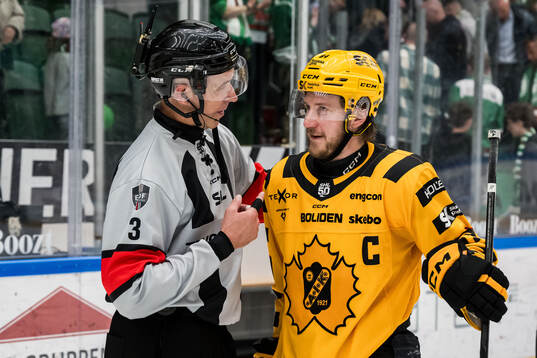 Skellefteås Jonathan Pudas i samtal med domare Linus