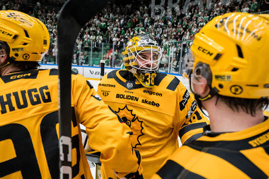 Skellefteås målvakt Strauss Mann jublar med lagkamrater