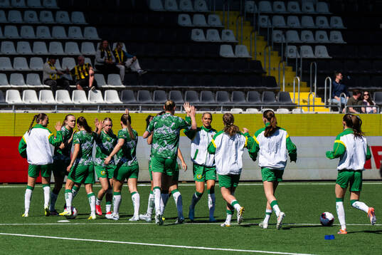 Players of Hammarby
