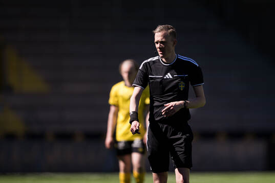 Domare Albin Wrångemyr
