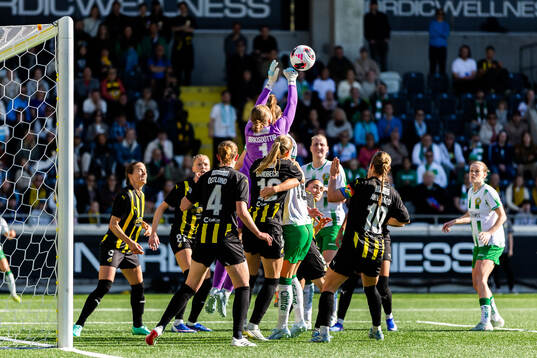 Goalkeeper Fanney Inga Birkisdottir of Häcken