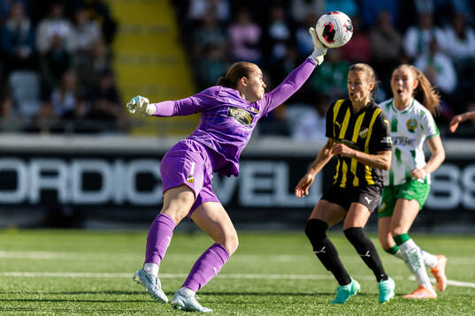 Goalkeeper Fanney Inga Birkisdottir of Häcken