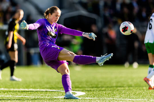 Goalkeeper Fanney Inga Birkisdottir of Häcken